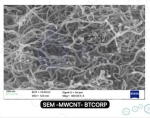 SEM High Magnification Micrograph
